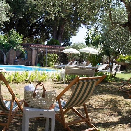 Villa Fillinelle Tavarnelle Val di Pesa Dış mekan fotoğraf